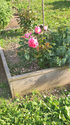 Photo n°2 de Fond de l'Ormes à Mougins (Centre de retraite)