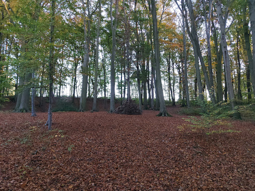 Jakob-Wahlen-Park/Kottenforst - Thumbnail