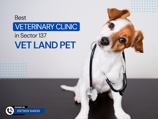 Vet Land Pet offers expert care and advanced treatments at the Best Veterinary Clinic in Sector 137. post image