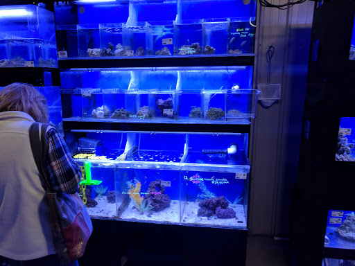 Premium Aquatics - Thumbnail