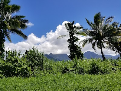 Hanalei National Wildlife Refuge