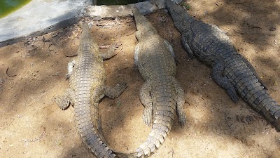 Photos of Elmolo crocodile park and lodge.