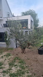 Photo n°13 de Home Extension à Wittelsheim (Constructeur de maisons personnalisées)