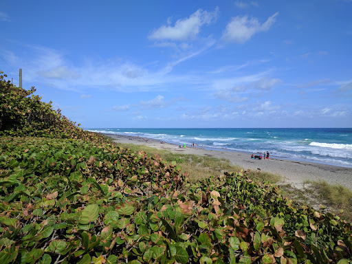 Ocean Cay Park - Visual