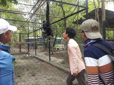 Photos of Tamao Mountain