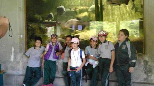 Escuela Primaria Francisco Torres Sotelo - Thumbnail