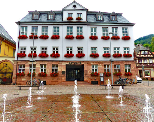 Tourist Information DREI AM MAIN - Stadtführungen in Miltenberg