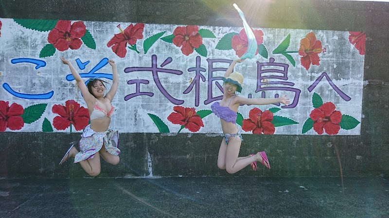 BlueMarine02 式根島