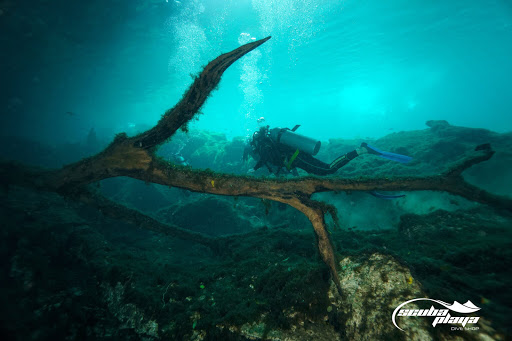 Playa del Carmen Diving Scuba Playa