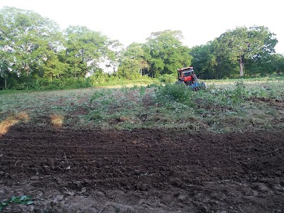 Photos of Sede sena Regional Caldas