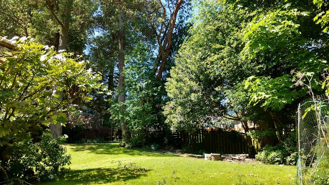 Mount Tolmie Park