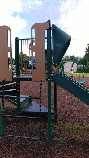 Morton Park - Visual