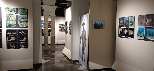 Museo Della Cattedrale San Giovanni Battista - Thumbnail