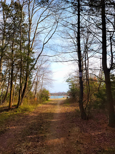 Lake Audrey - Thumbnail