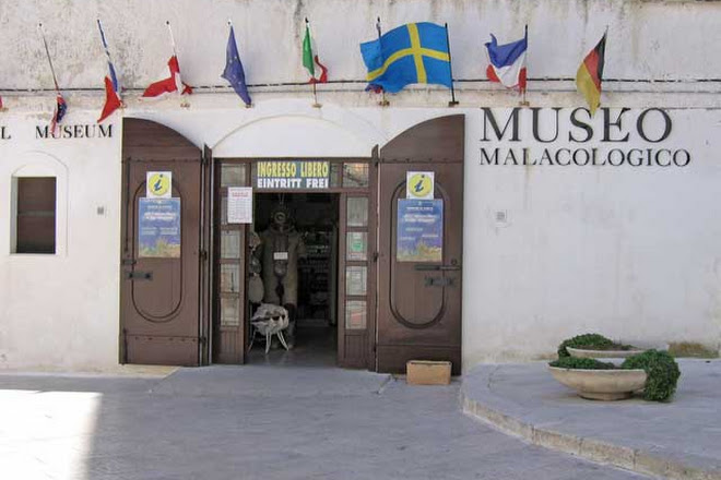 Museo Malacologico di Anna Ragno