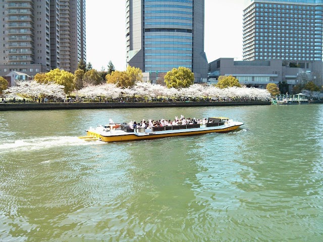 Kema Sakuranomiya Park