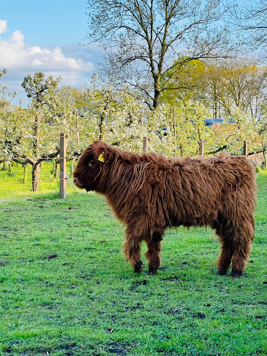 Bij Boer Jos - Thumbnail