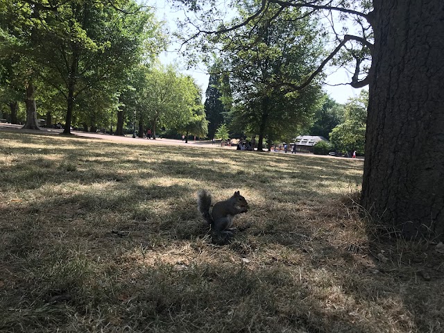 Parade Ground, Hyde Park