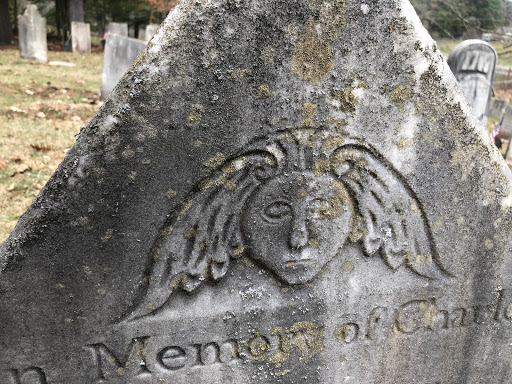 Stoneybrook Cemetery - United States