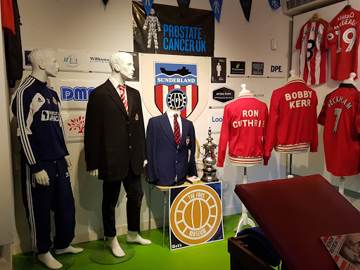 Fans Museum - Visual