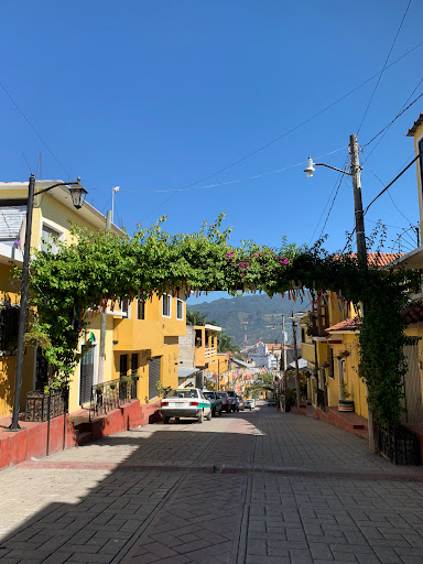 Ocosinco - Visual
