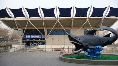 Photos of Blue Zoo Beijing