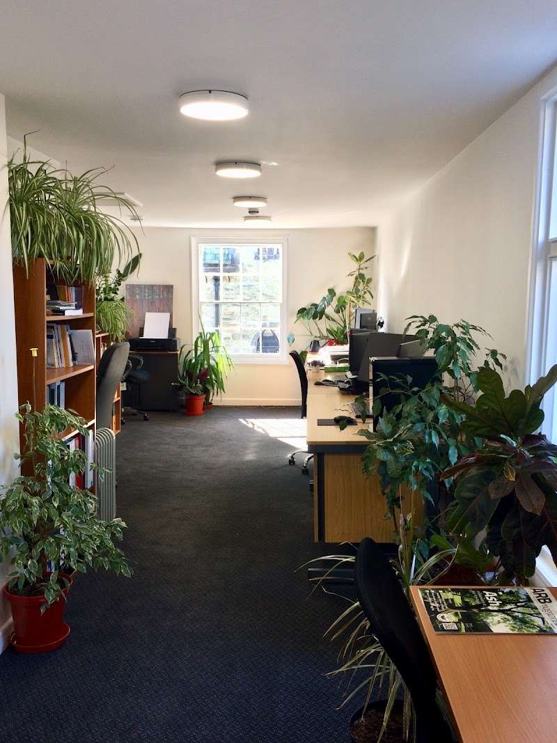 Evolve Tree Consultancy photo 2