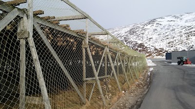 Photos of Torsv&aring;g fishing DA