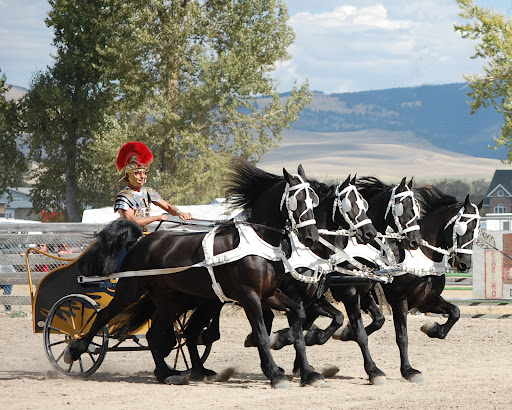 Horse Taxi - Thumbnail