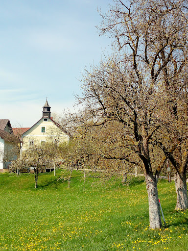 Kubin-Haus Zwickledt - Thumbnail