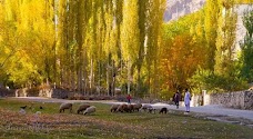 Nagar Village hunza