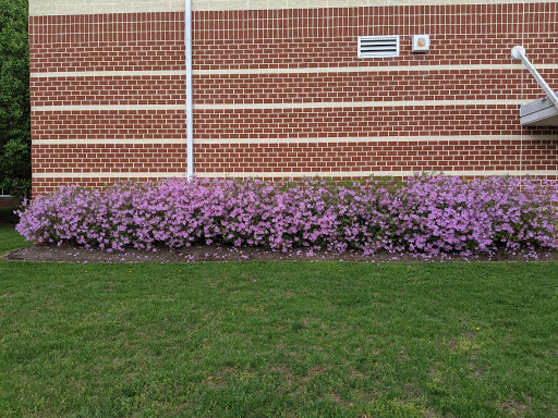 Rockingham County Middle School - Thumbnail