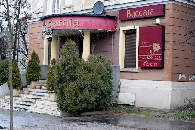 Baccara. Kwiaciarnia. Drapała J. - Kwiaciarnia