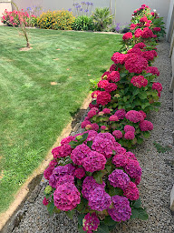 Photo n°10 de Argouarch Christine Michel à Santec (Chambre d'hôtes)