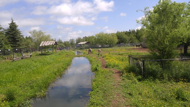 Magnetic Hill Zoo