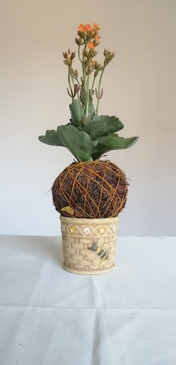 Kokedama love - Thumbnail
