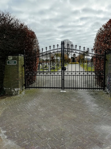 Harkema, Nijebuorren - Thumbnail