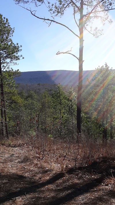 Cheaha Falls