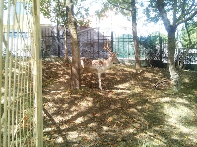 Zoological Park of Tirana