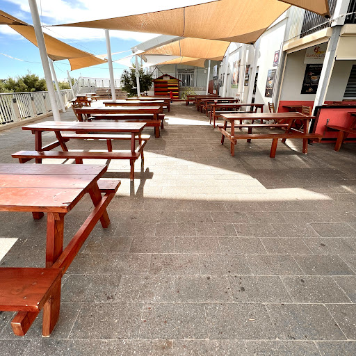 Photo of Surfing Lizard - Coogee