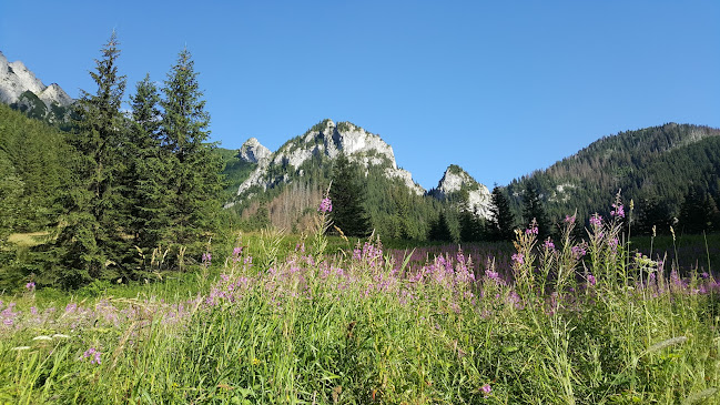 Comentarii opinii despre Kościół św. Sebastiana w Jurgowie