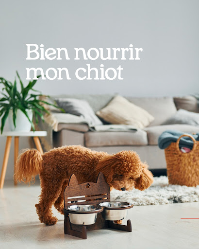 HUSSE - Caen - Calvados - Thumbnail