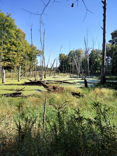 Cooke Family Wildlife Conservation Park, llc Gallery - United States