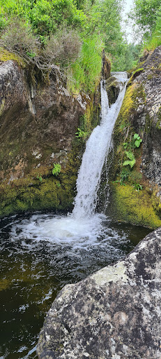 Source of the River Severn - Thumbnail