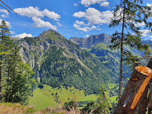 Hühnermoos - Visual