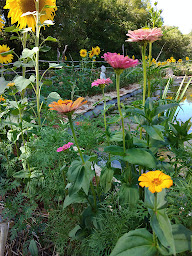 Photo n°12 de TERRE DE TARA à Marcilhac-sur-Célé (Réserve naturelle)