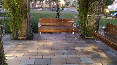 Photos of Mohammed Bin Zayed City Public Park