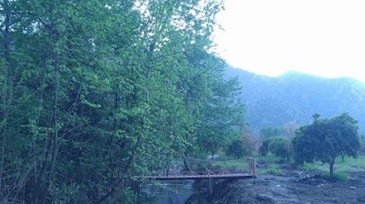 Jungle Camping Dalyan