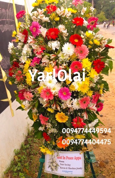 Photos of YarlOlai Gifts