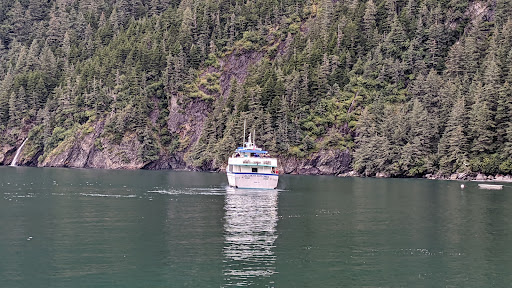 Kenai Fjords Wilderness Lodge - Thumbnail